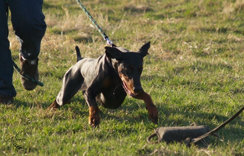 Training in Prague 3/2007